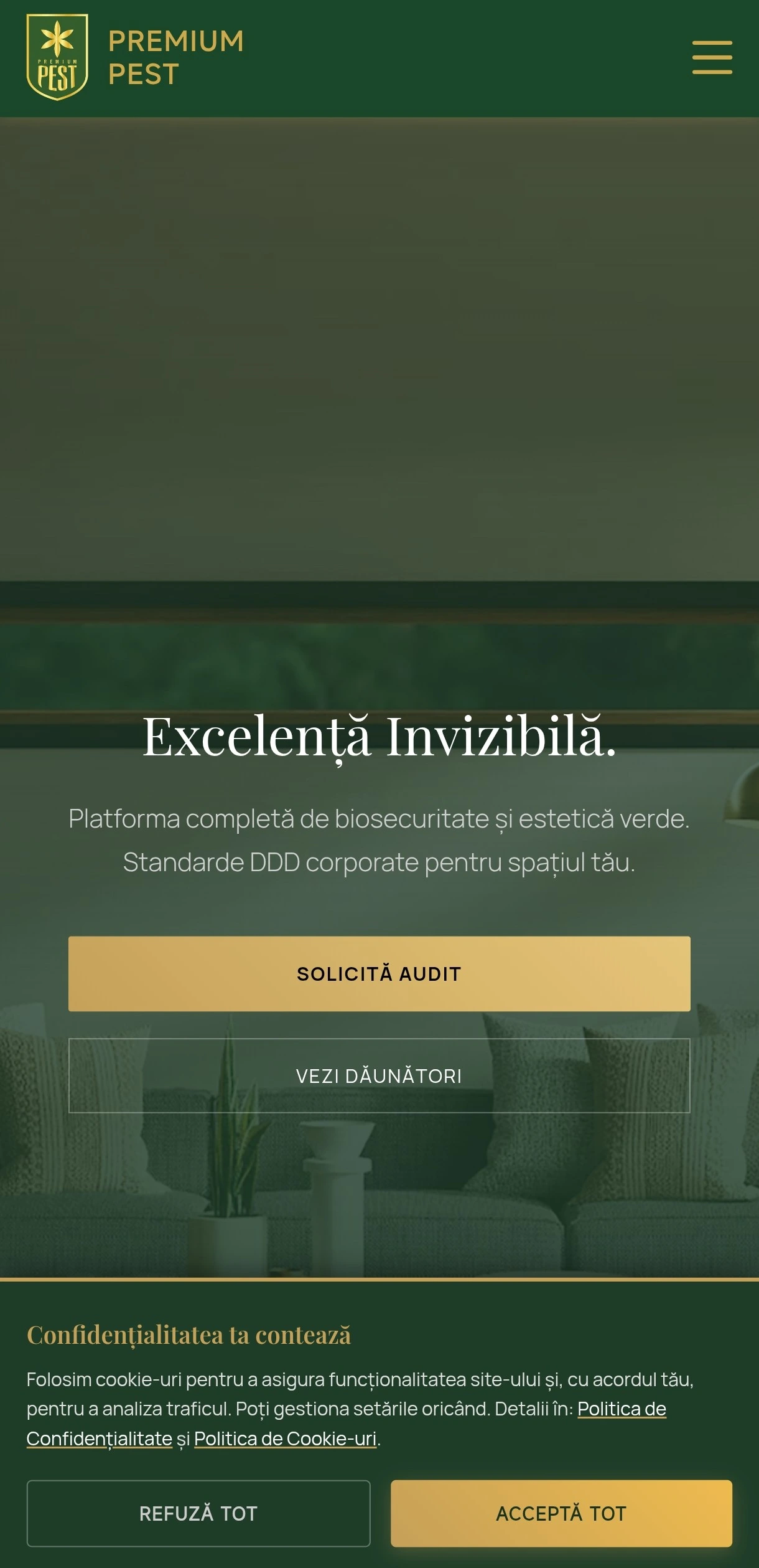 Prezentare Proiect Realizat de Student Romania